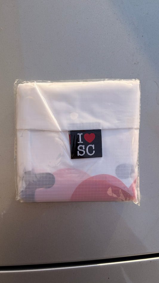 Bolsita de Sur Centro