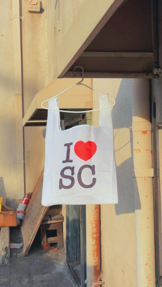 Bolsita de Sur Centro